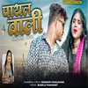 About Payal Wali Song