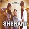 About Sherani Song