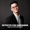 About Жүрегім сен шаршама Song