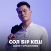 About Сол бір кеш Song