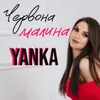 About Червона малина Song