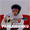 About PAHLAWANKU Song