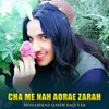 About Cha Me Nah Aorae Zarah Song