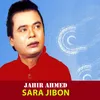 About Sara Jibon Song