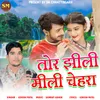 About Tor Jhili Mili Chehra Song