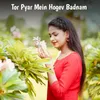 About Tor Pyar Mein Hogev Badnam Song