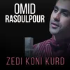 About Zedi Koni Kurd Song