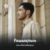 About Ғашықпын Song