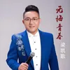 About 无悔青春 Song
