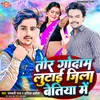 About Tor Godam Lutai Jila Bettiah Me Song