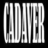 About cadaver Song