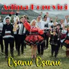 About Oșanu' Oșanu' Song