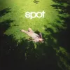 About Spot Song