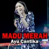 About Madu Merah Song