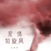 About 爱情如旋风 Song