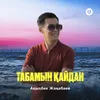 About Табамын қайдан Song