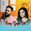 About Rang Gaya Dil Song