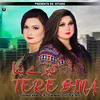 About Tere Bina Song