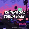 About KU TINGGAL TURUN NAIK Song