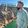 About Dılo Heyran Sallama Song