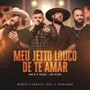 About Meu Jeito Louco de Te Amar Song