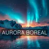 Aurora Boreal