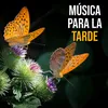 Música para la Tarde