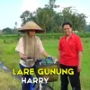 About Lare Gunung Song