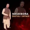 About Naseebona Song