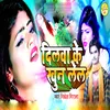 About Dilwa Ke Khun Lela Song