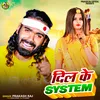 Dil Ke System