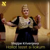 About Hallat tezet si llokum Song