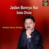 About Jadan Banrya Nai Sada Dhola Song