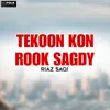 About Tekoon Kon Rook Sagdy Song