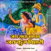 About Jai Radha Mahdav Jai Kunj Bihari Song