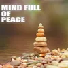 About Mind Full of Peace Song