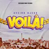 About voila Song