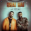 About Bhai Hai Song