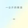 About 一公斤的眼泪 Song