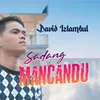 About Sadang Mancandu Song