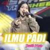 About Ilmu Padi Song