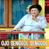 Ojo Senggol Senggol