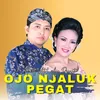 About Ojo Njaluk Pegat Song