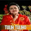 Tulih Tuliho