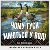 Українська народна казка Чому гуси миються у воді