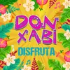 About DISFRUTA Song