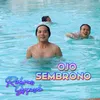 About OJO SEMBRONO Song