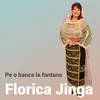 About Pe o banca la fantana Song