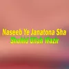 About Naseeb Ye Janatona Sha Song