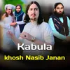 About Kabula Song